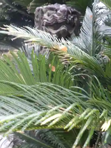 八坂神社の狛犬