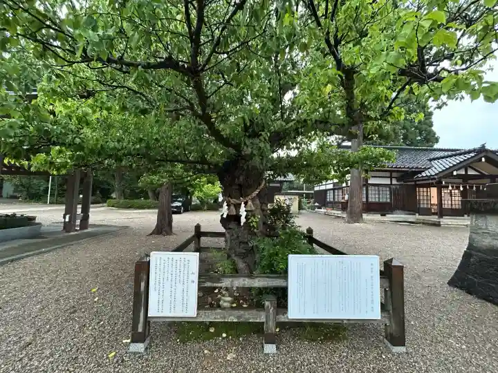 射水神社の自然