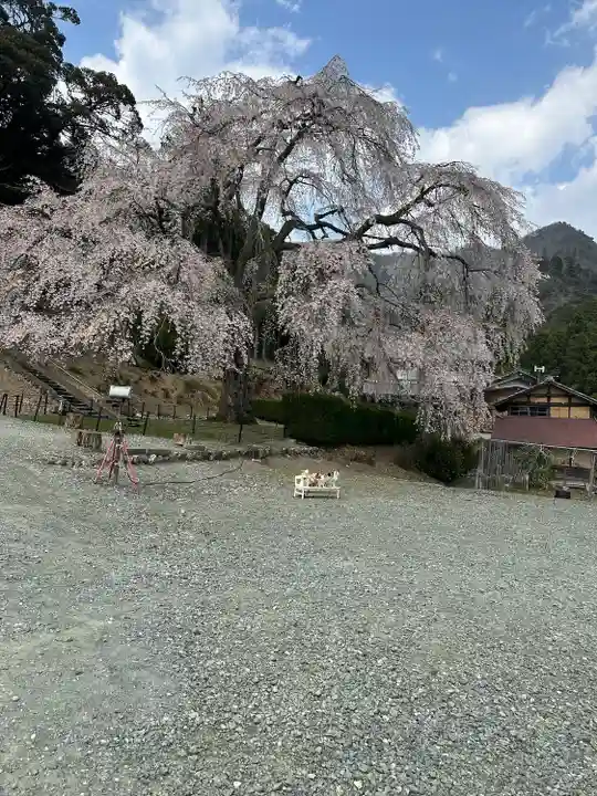 妙祐寺(福井県)