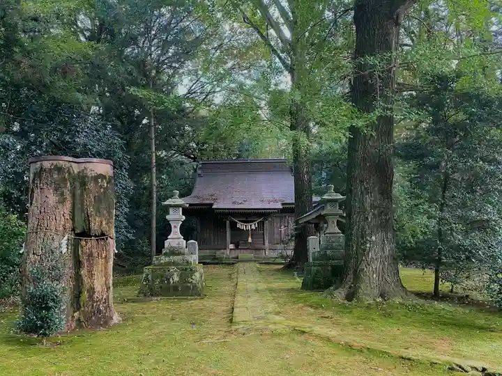 子安神社の本殿・本堂