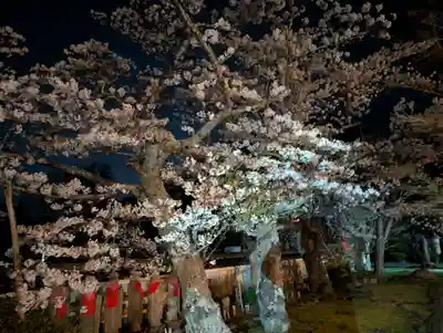 福聚寺(福島県)