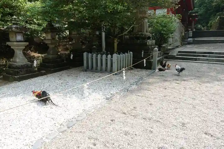 石上神宮のその他建物