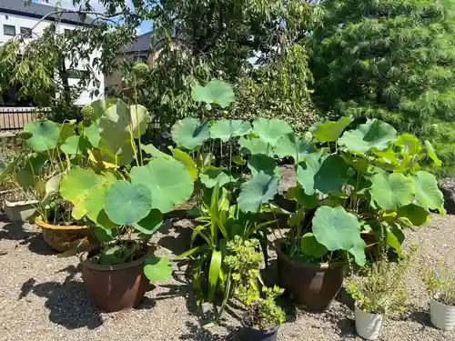 延命寺(東京都)