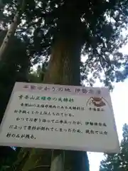 正福寺の自然