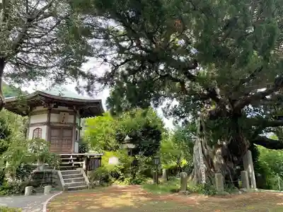 城願寺(神奈川県)