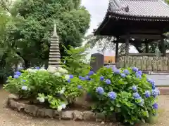 東福寺(千葉県)