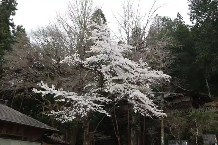 秩父若御子神社の庭園