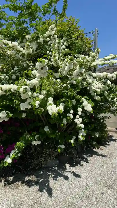 吉祥草寺(奈良県)