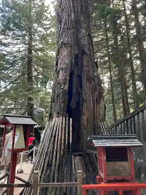 日光東照宮(栃木県)