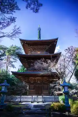 豪徳寺(東京都)