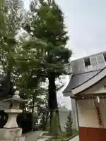駒繋神社の自然
