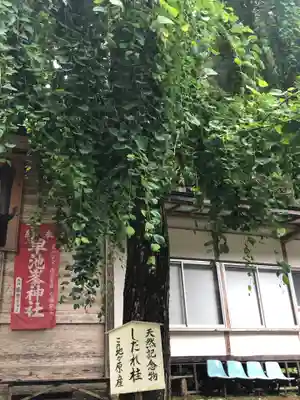 早池峯神社(岩手県)