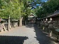 闘鶏神社の本殿