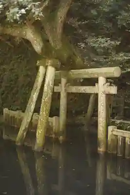 奥宮(鹿島神宮摂社)(茨城県)