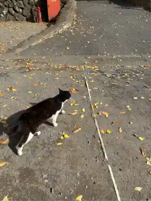 奥氷川神社(東京都)