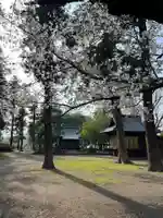 蛇宮神社(群馬県)