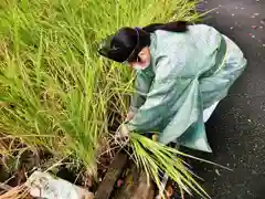 立志神社(滋賀県)