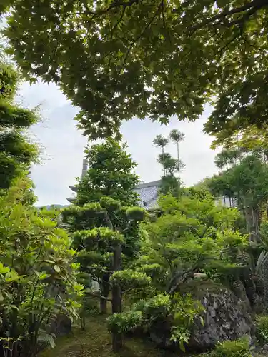 正法寺の庭園