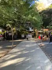 平塚八幡宮(神奈川県)