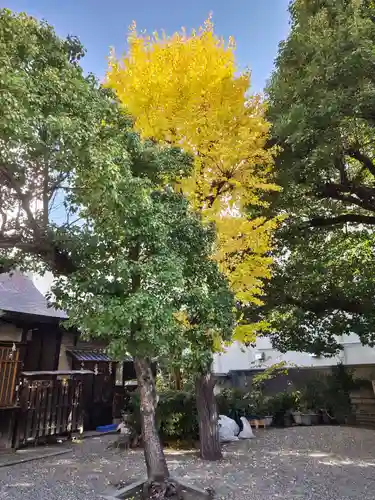 廣田神社の自然