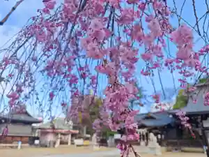 福島稲荷神社(福島県)(2026年04月08日(水) 15時04分02秒投稿)