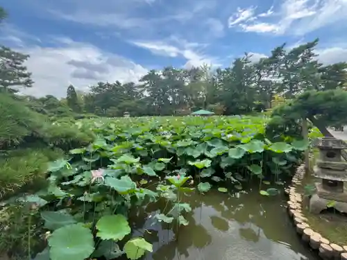 白山神社(新潟県)