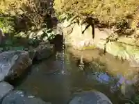 報国寺(神奈川県)