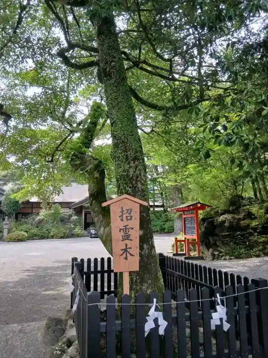 霧島神宮(鹿児島県)
