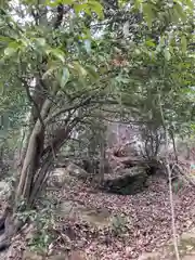 河上神社の周辺