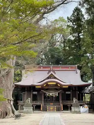 素鵞神社の本殿・本堂