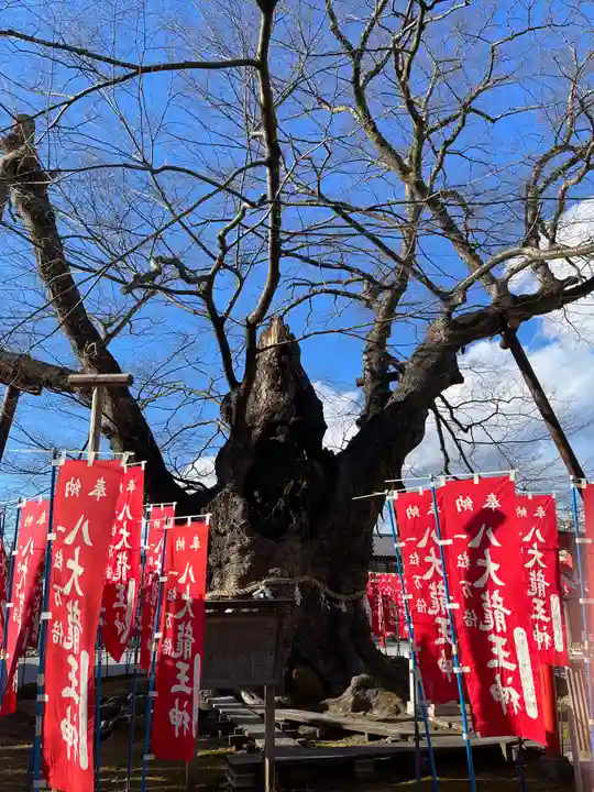 秩父今宮神社(埼玉県)