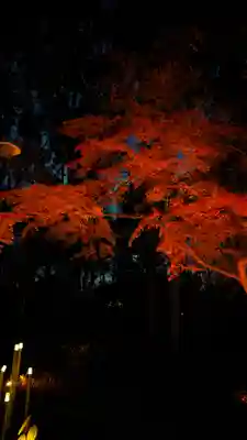 賀茂御祖神社（下鴨神社）(京都府)