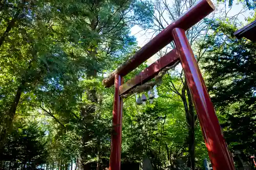 比布神社の鳥居