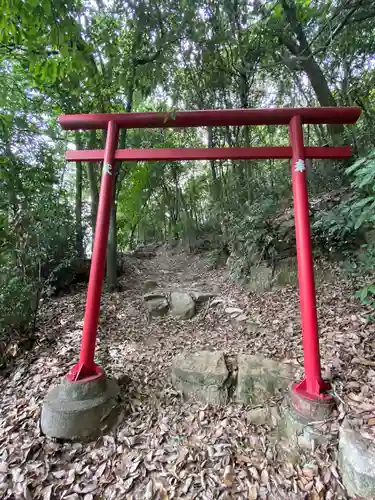 空幣稲荷大明神の鳥居