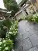 坐摩神社の{uncategorized: "未分類", other: "その他", undefined: "問題あり", building: "その他建物", grave: "お墓", sacred_gate: "鳥居", guardian: "狛犬", statue: "像", buddha: "仏像", history: "歴史", nature: "自然", garden: "庭園", animal: "動物", pagoda: "塔", temizu: "手水舎", mountain_gate: "山門・神門", sanctuary: "本殿・本堂", subordinate: "末社・摂社", art: "芸術", scenery: "景色", jizo: "地蔵", ema: "絵馬", goshuin: "御朱印", omikuji: "おみくじ", items: "授与品その他", amulet: "お守り", goshuincho: "御朱印帳", eats: "食事", festival: "お祭り", votive_dance: "神楽", shichigosan: "七五三参", wedding: "結婚式", experience: "体験その他", initially: "初詣", around: "周辺", anti_infection: "感染症対策"}
