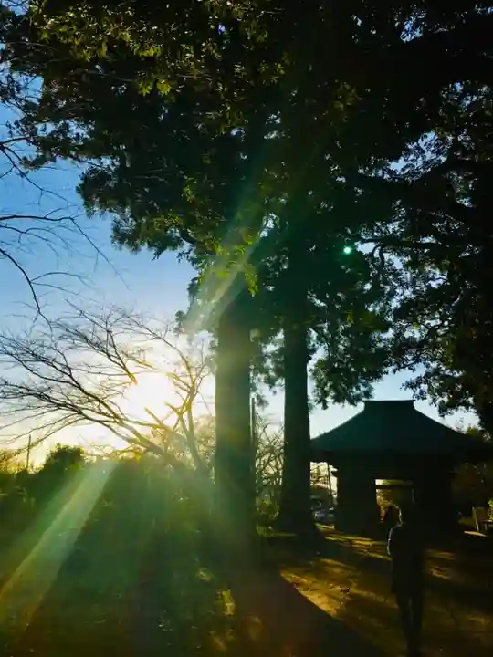 西蓮寺(茨城県)