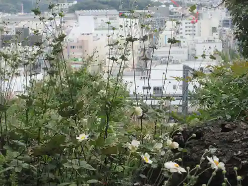 黙仙寺(神奈川県)
