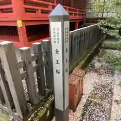 金王八幡宮の建物その他