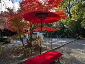 水無瀬神宮(大阪府)(2024年11月29日(金) 10時11分25秒投稿)