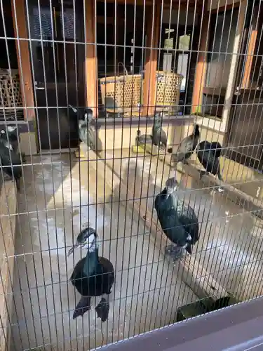 白山比咩神社(山口県)