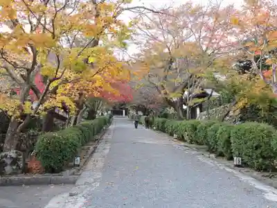 西教寺の御朱印