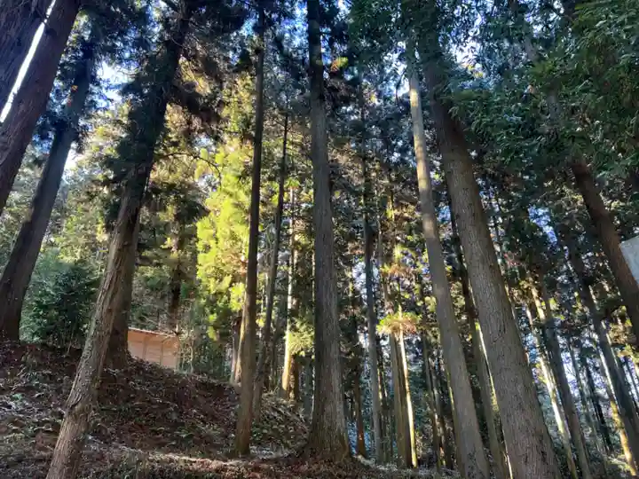 大宮温泉神社(栃木県)