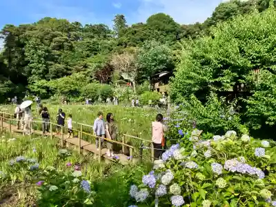 本土寺(千葉県)