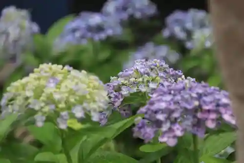 豊景神社の自然