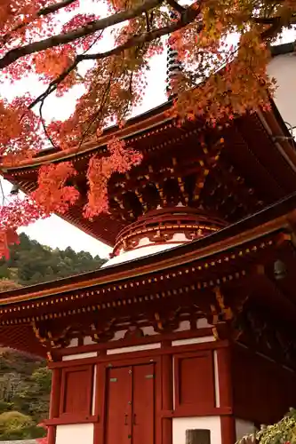 善峯寺(京都府)