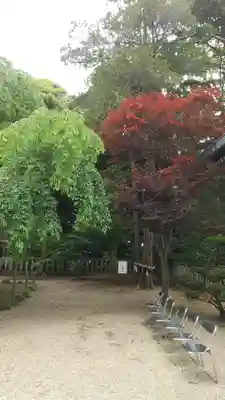 常陸第三宮 吉田神社(茨城県)