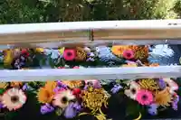 豊景神社の手水舎