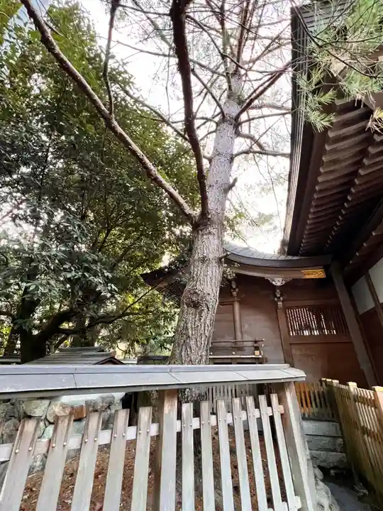 九頭竜大社(京都府)