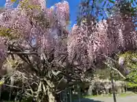 木舟山 順教寺(広島県)