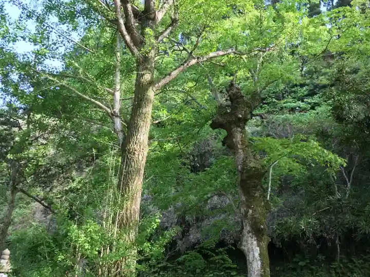 高藤山 妙勝寺の景色